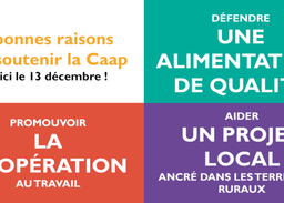 Les Scop logo