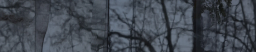 Julie Fuchs logo