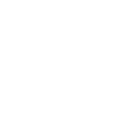 Boutique Labess logo