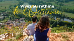 Région Occitanie / Pyrénées-Méditerranée logo