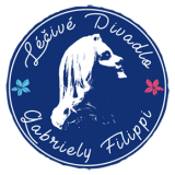 Léčivé divadlo logo