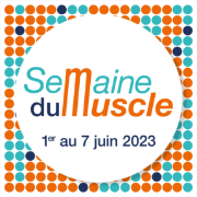 lemuscle.fr favicon