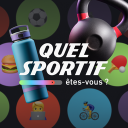 lequipe.fr logo
