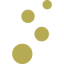 lesportesdelachampagne.com favicon