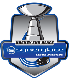 Fédération française de hockey sur glace logo