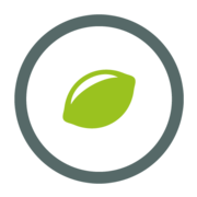 limesoda.com favicon