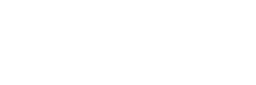Lions Air Group logo