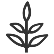 livekindly.co favicon
