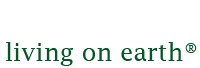 World Media Foundation logo