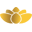 macaubeer.com favicon