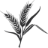 mainebeercompany.com favicon