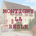 mairie-montigny-la-resle-89.fr favicon