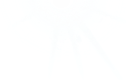 Storck logo