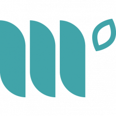 mediavine.com favicon