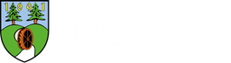 Město Desná logo