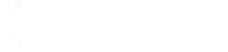 Modular DS logo