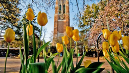 Michigan State University logo