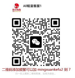 铭宣海淘 logo