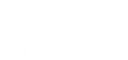NAFI GmbH logo