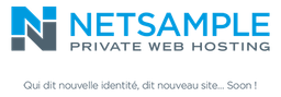 NETSAMPLE logo