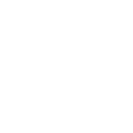 nielsensports.com favicon