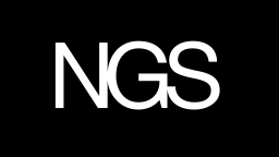 Nifty Gateway LLC logo