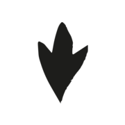 nomady.camp favicon