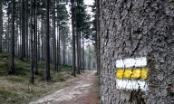 Správa NP České Švýcarsko logo