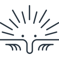nyingarn.net favicon
