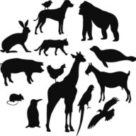 ochranazvirat.cz favicon
