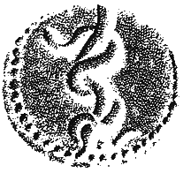 Ordine dei Medici Chirurghi e degli Odontoiatri della Provincia di Pescara logo
