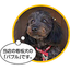 one-trust.com favicon