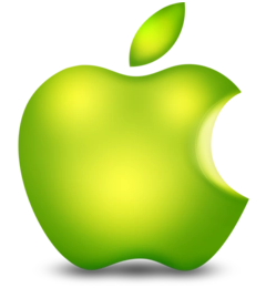 paizi100.com favicon