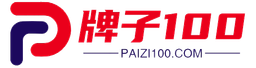 paizi100.com logo
