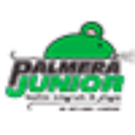 palmerajunior.com favicon