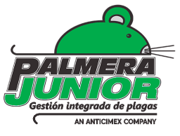 Palmera Junior SAS logo