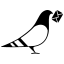 paperlesspost.com favicon