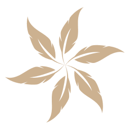 parcdestael.ch favicon