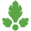 parsely.com favicon