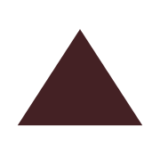 path.ie favicon