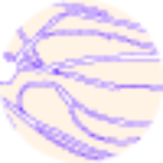pcfh.studio favicon