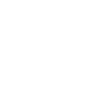 perf.report logo