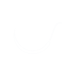 Peters Surgical logo