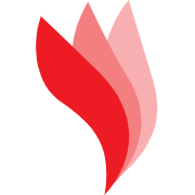petitacademy.sk favicon