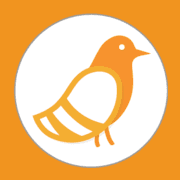 pigeonholelive.com favicon