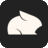 pika.art favicon