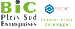 BIC Plein Sud Entreprises logo