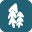 pohjoisenpolut.fi favicon