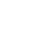 polygravia.ch favicon