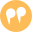 premiereplace.ch favicon
